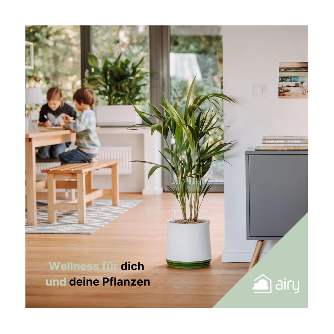 Vorschaubild 2